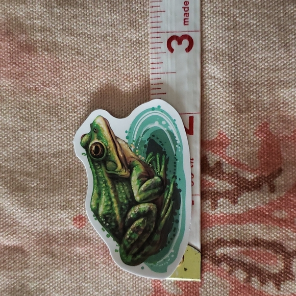 (B) Frog Sticker 🐸 - Picture 3 of 5